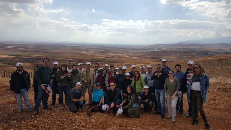 Hilton employees plant 100 cedar seedlings